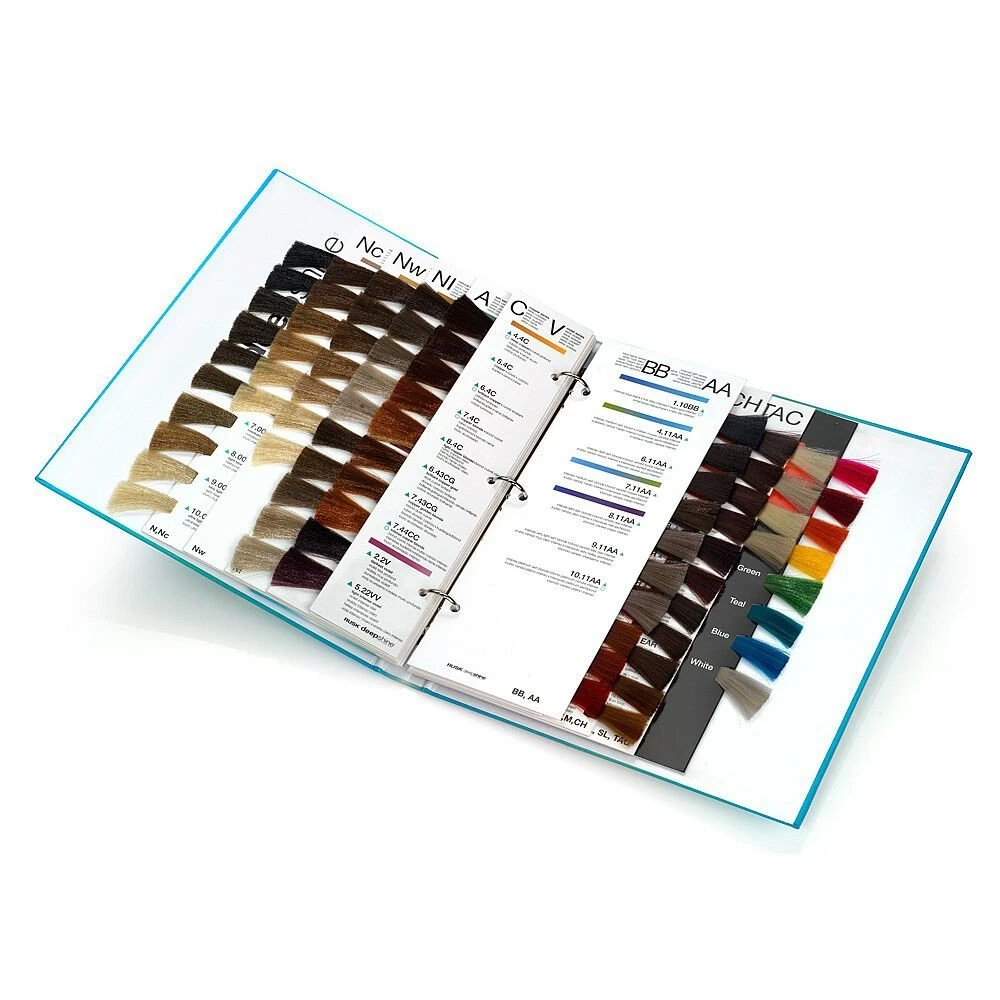 Morden Style Colour Sample Holder Hair Extensions Swatch Hair Color Chart Book